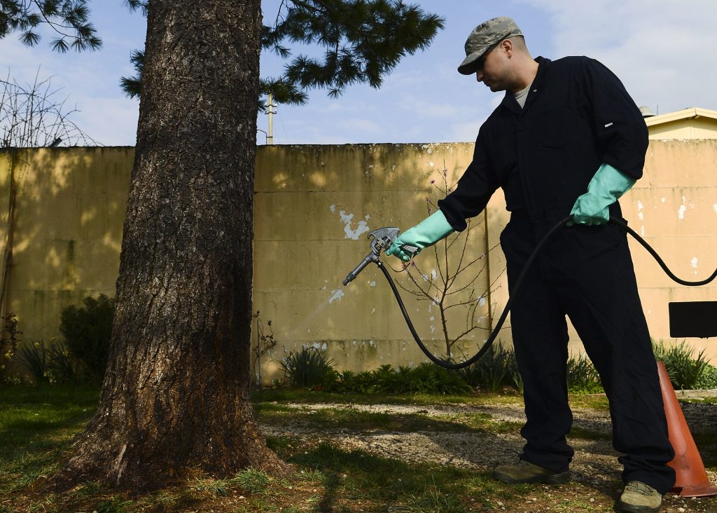 Tehnician pest control aplicand tratament profesional