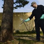 Tehnician pest control aplicand tratament profesional
